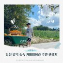 합덕오토바이