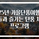 (주)소망약품 | 2025년 가을단풍여행 아이들과 즐기는 단풍 체험 프로그램