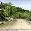 내서면 노류리 이미지