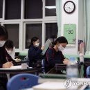 완월동127 이미지