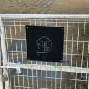 물개스테이 | 청주단독펜션 키즈풀빌라 보테가스테이 솔직후기