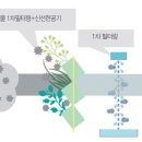 자연그린한방병원 이미지