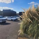 동광카서비스 | 제주 서귀포 안덕면 대형카페 무로이 내돈내산 솔직후기