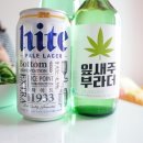 여수 보라네 펜션 이미지
