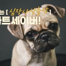 이편한약국 이미지