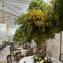 청량리29 | 서울 밝은홀 로얄파크컨벤션 파크홀, 청량리 L65 가든홀 암행투어 후기