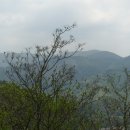 무동산(舞童山633m).두리봉(626m).장구너미봉(646.4m).배너미산(730.9m).늦은배너미봉(750m)/강원 평창 이미지