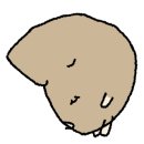 백성세탁 이미지