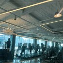 문라이트짐 이미지