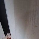 중부대로27 네이버블로그
