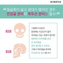 내사랑피부