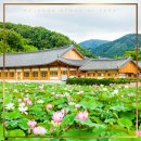 콩쥐팥쥐 관광 한옥리조트 이미지