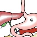 오혜숙생활단식전주지사