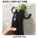 후크선장 이미지