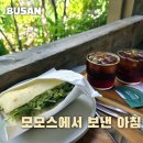또커피 | 부산 모모스커피 본점 후기, 또 가고 싶다는 말을 열 번은 한 곳
