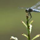 지구와환경 이미지