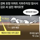 그냥 심심해서요. (16897) 아들, 너라도 살아서 나가 이미지