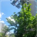 한서초교 이미지