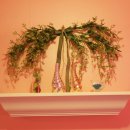 헬리오스와셀레네 이미지