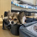 넘버25 호텔 남양주 별내점 이미지