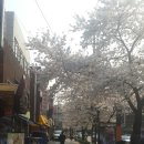 오렌지와 연필 앞 이미지