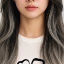 헤어제니스 이미지