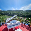 서성리 입구 | 2024 강진 수국길축제 언제? 무료로 즐기는 초대가수와 전남 수국!