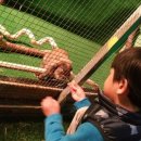 애니 팜 이미지