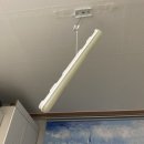 웃게해줄개 | 올해는 덜 울고, 더 웃게 해주세요