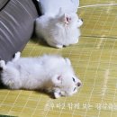 벨라폴앤스트레칭