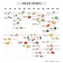 비타민플라잉앤요가
