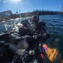 용원119안전센터 1층 화장실 | 제주도스쿠버다이빙 버블탱크에서 패디 레스큐코스1박 2일 총과정 내돈내산 후기 🤿🏝️