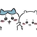 크로스핏익산 이미지