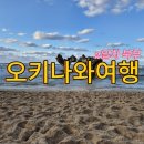오키나와 6박7일 북부 돌고래쇼(오키짱극장) 백년고가...파크 하트바위 코우리오션타워 무텐구라스시