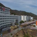영산대학교(양산) 티스토리