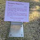 Geometry-p 이미지