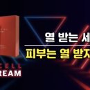 일일구환경 네이버블로그