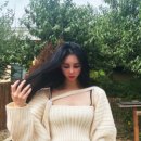 센시블 이미지