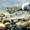 무주읍238 이미지