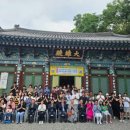 달마사