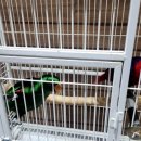 도하목장 이미지