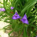 바다그린 이미지