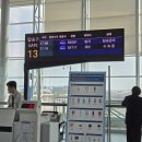 부다리농장 | 항암 후 비행기 타도 괜찮을까? 항암치료 3개월 후 발리 해외여행 후기