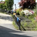 도척그린공원 야구장 이미지