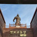 장보고공원 Daum카페