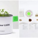 트렌드오늘