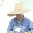 음식치유요리연구소 | 흙살림 친환경 토마토 축제 주말 생생 후기