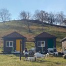 구도목장 이미지