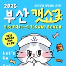 유어캣 고양이병원 이미지