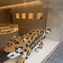 압구정메이트동물병원 | [쇼핑] 휴먼메이드 HUMAN MADE 압구정 첫날 오픈런 성공 후기♥